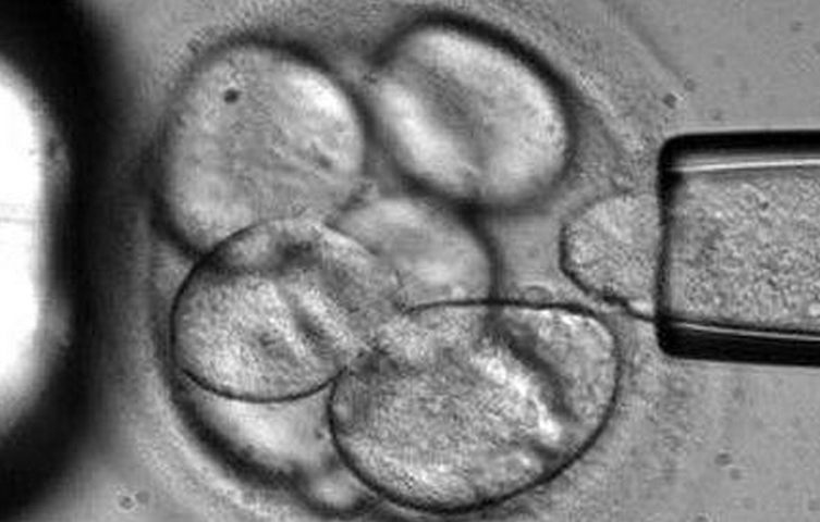 Screen Shot 2012-08-23 at 23.17.59