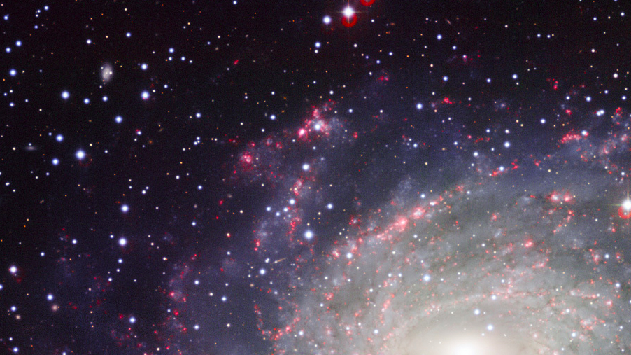 What if You Were Born in Space-